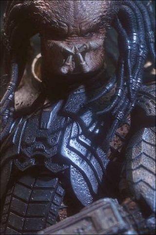 Aliens versus Predator (1999) - Решил сделать Арт-галерею